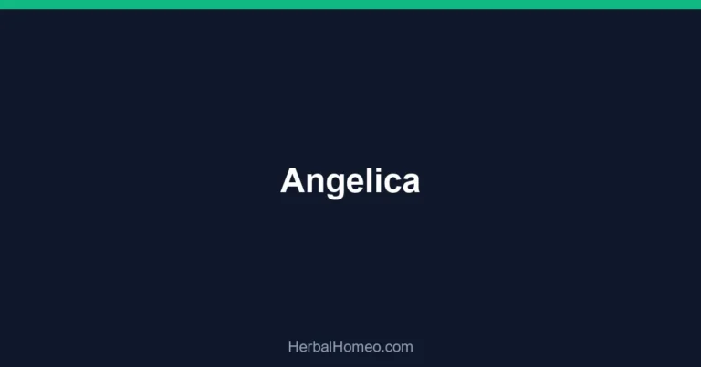 Angelica