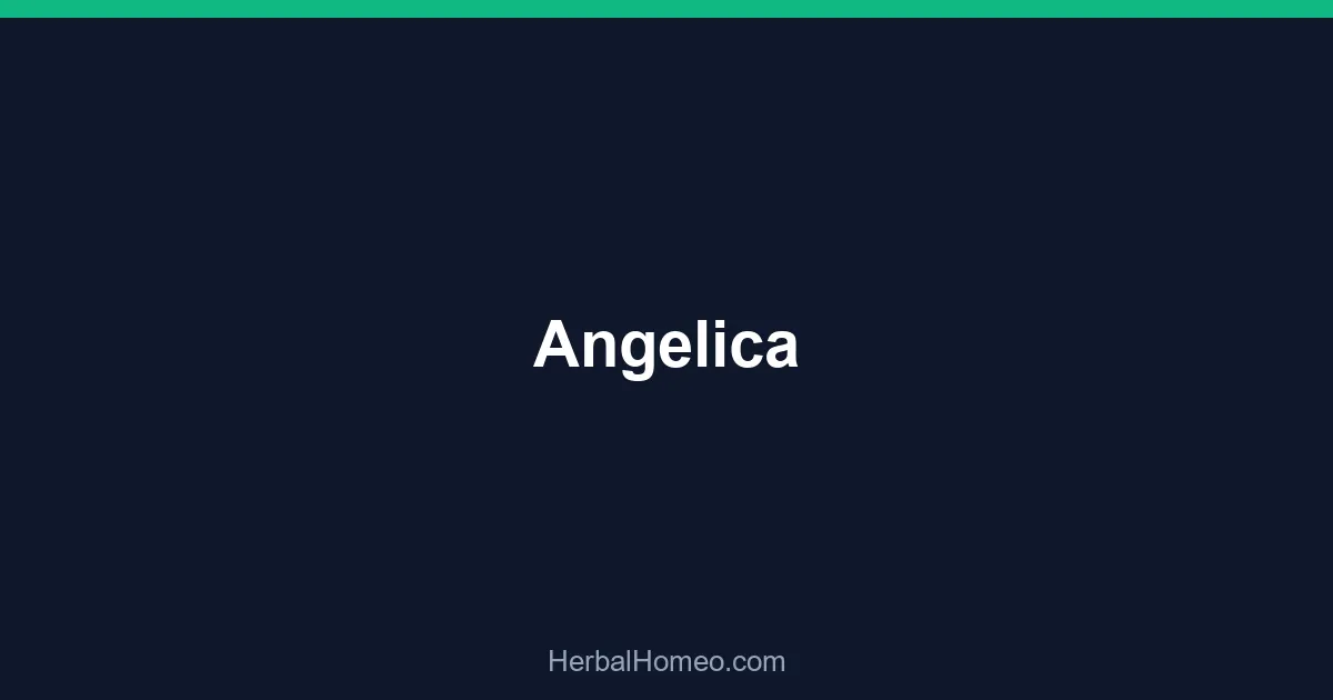 Angelica