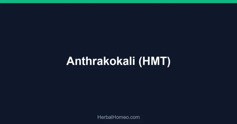 Anthrakokali (HMT)