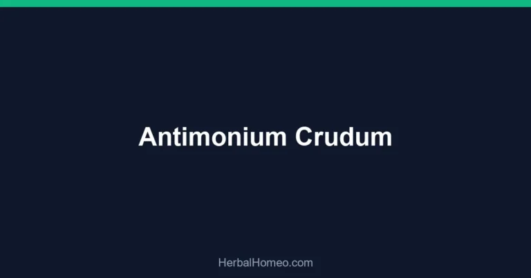 Antimonium Crudum