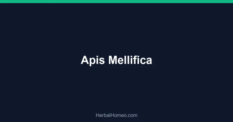 Apis Mellifica