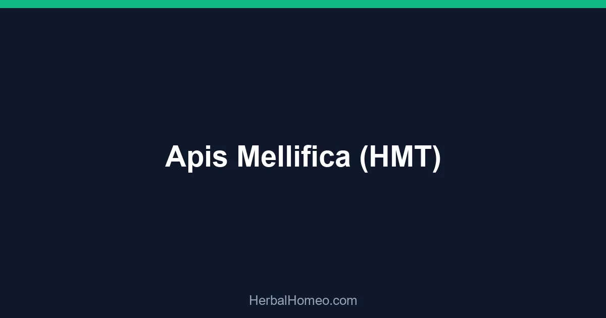 Apis Mellifica (HMT)