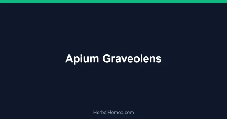 Apium Graveolens