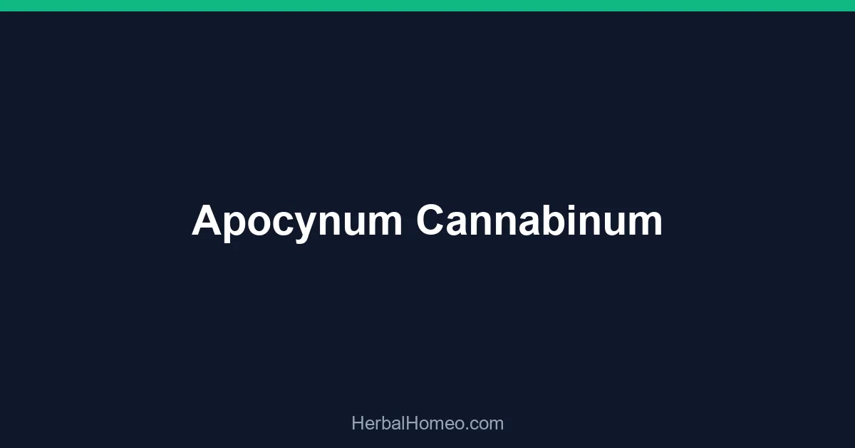 Apocynum Cannabinum