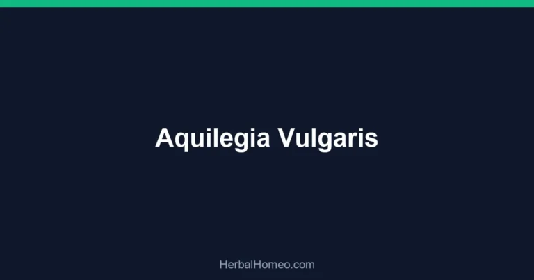 Aquilegia Vulgaris