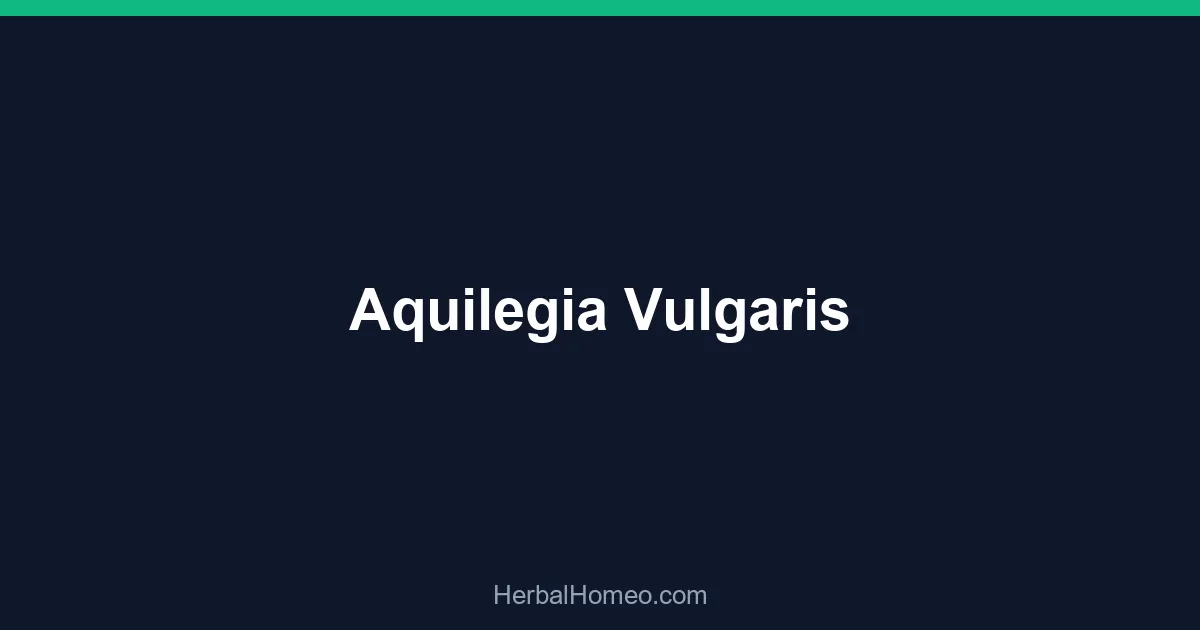 Aquilegia Vulgaris