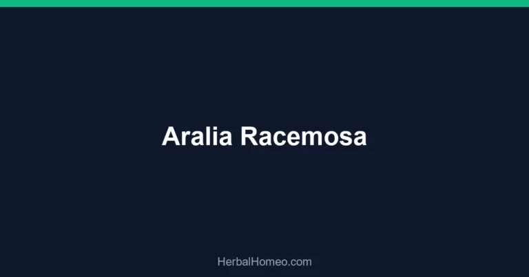 Aralia Racemosa