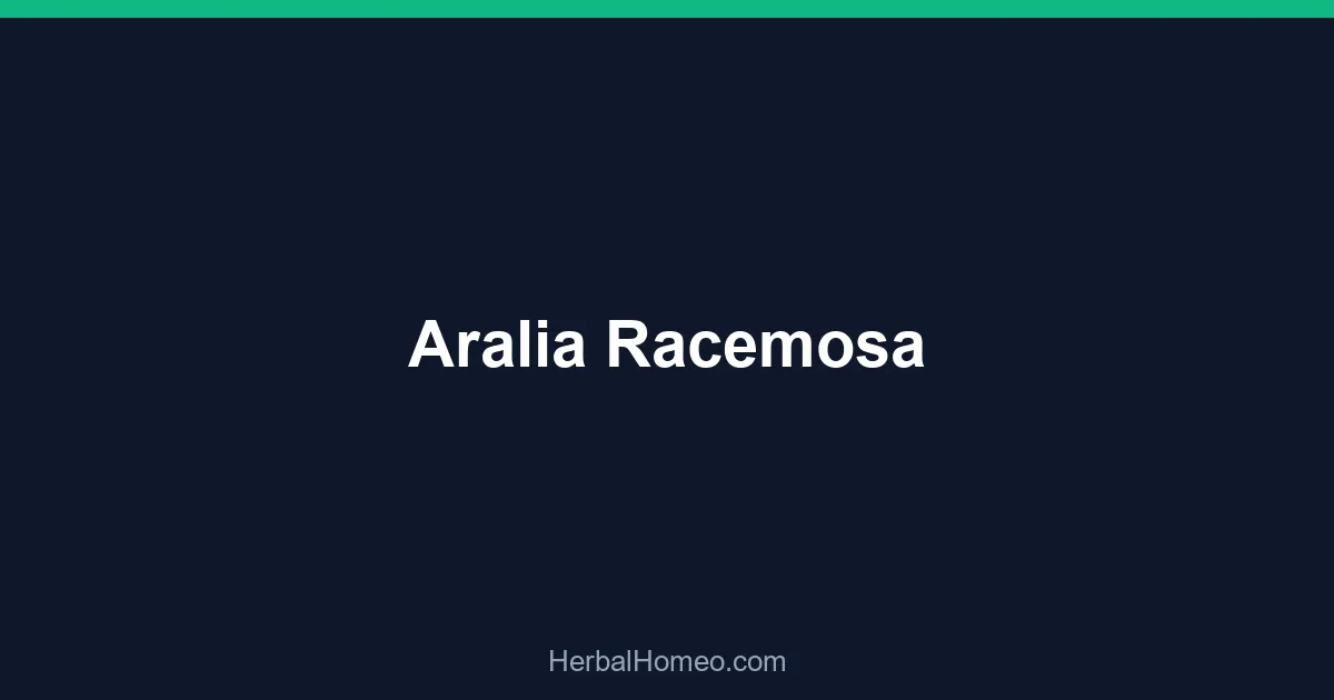 Aralia Racemosa