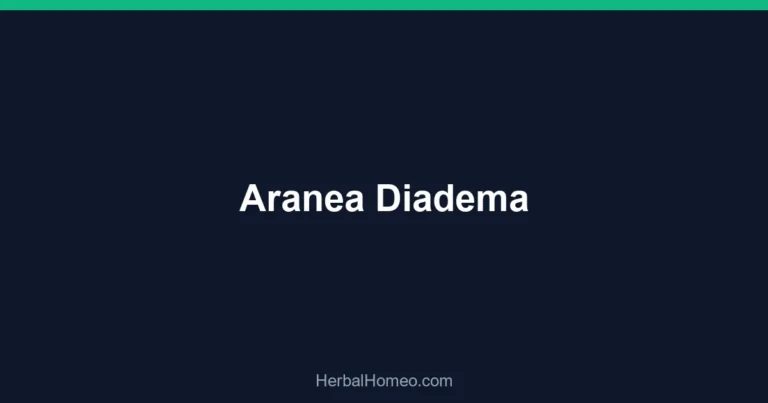 Aranea Diadema