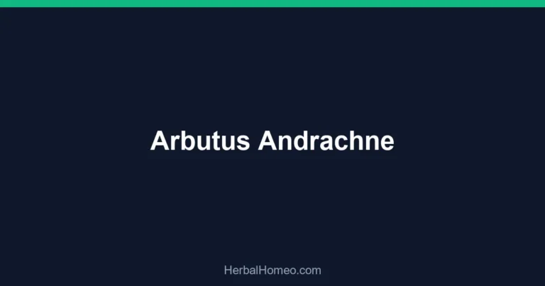 Arbutus Andrachne
