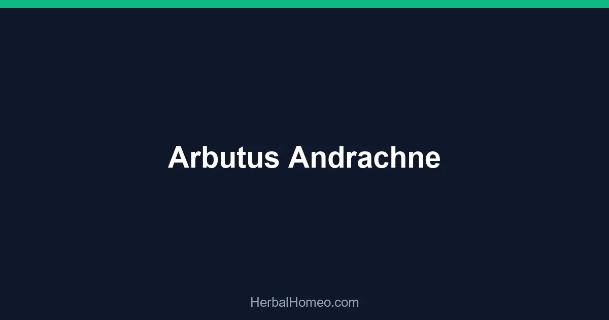 Arbutus Andrachne
