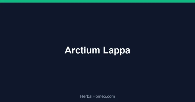 Arctium Lappa
