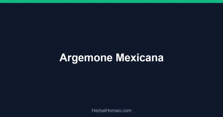 Argemone Mexicana