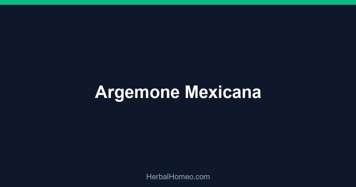 Argemone Mexicana