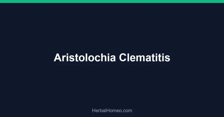 Aristolochia Clematitis
