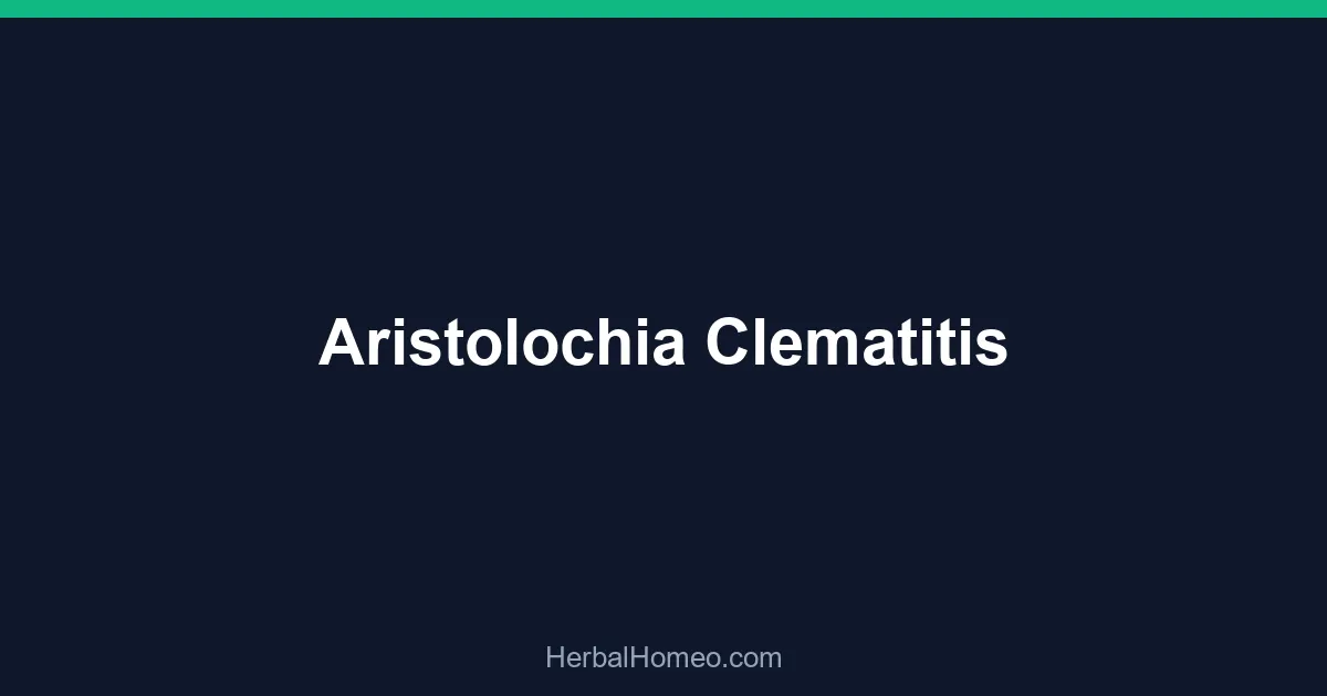 Aristolochia Clematitis