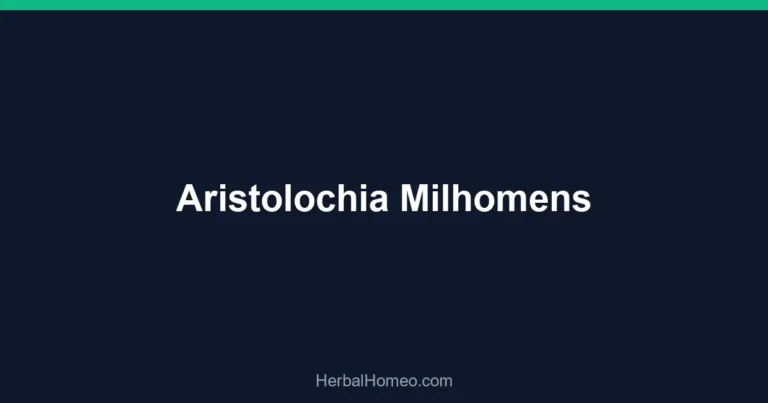 Aristolochia Milhomens