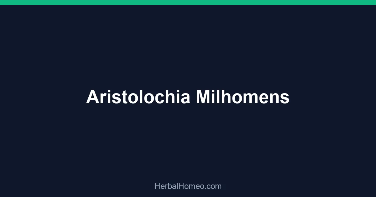 Aristolochia Milhomens