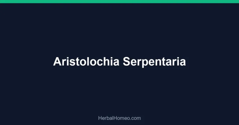 Aristolochia Serpentaria