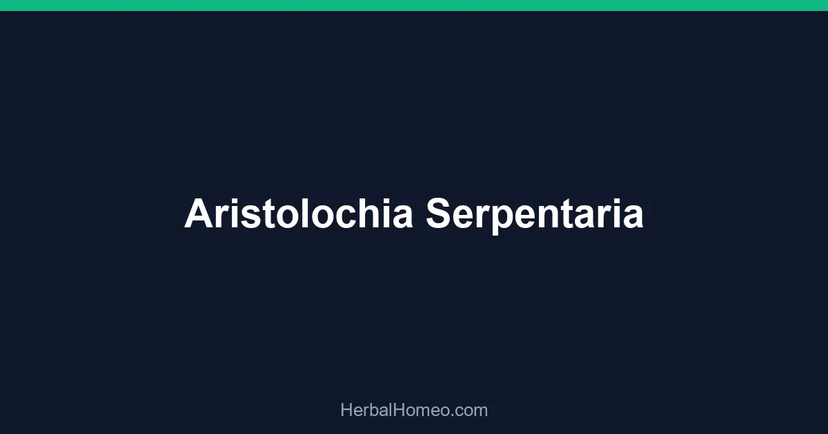 Aristolochia Serpentaria