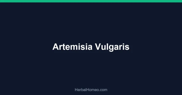 Artemisia Vulgaris