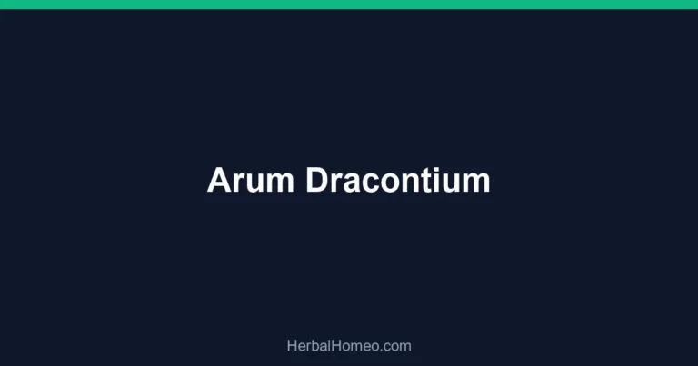 Arum Dracontium