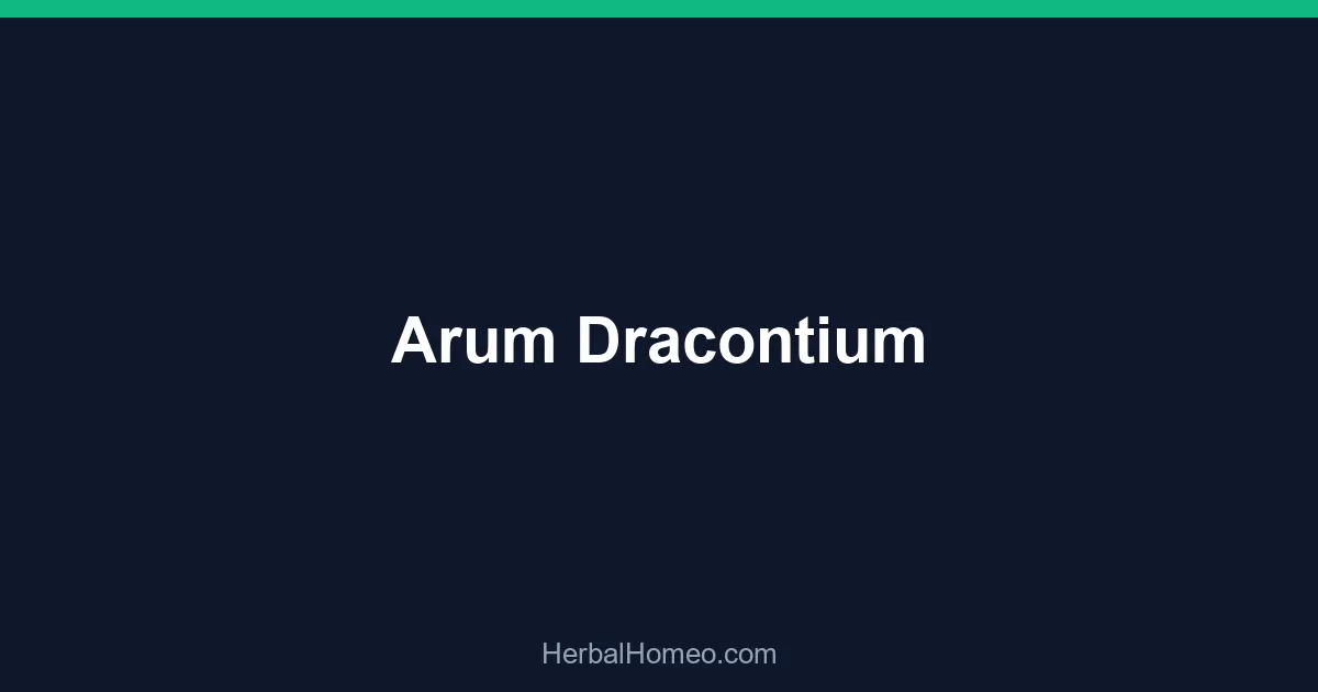 Arum Dracontium