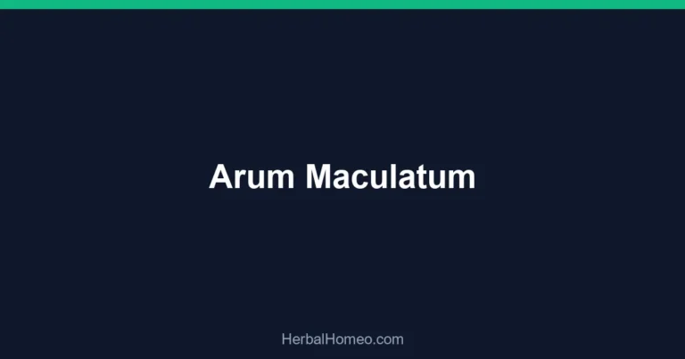 Arum Maculatum