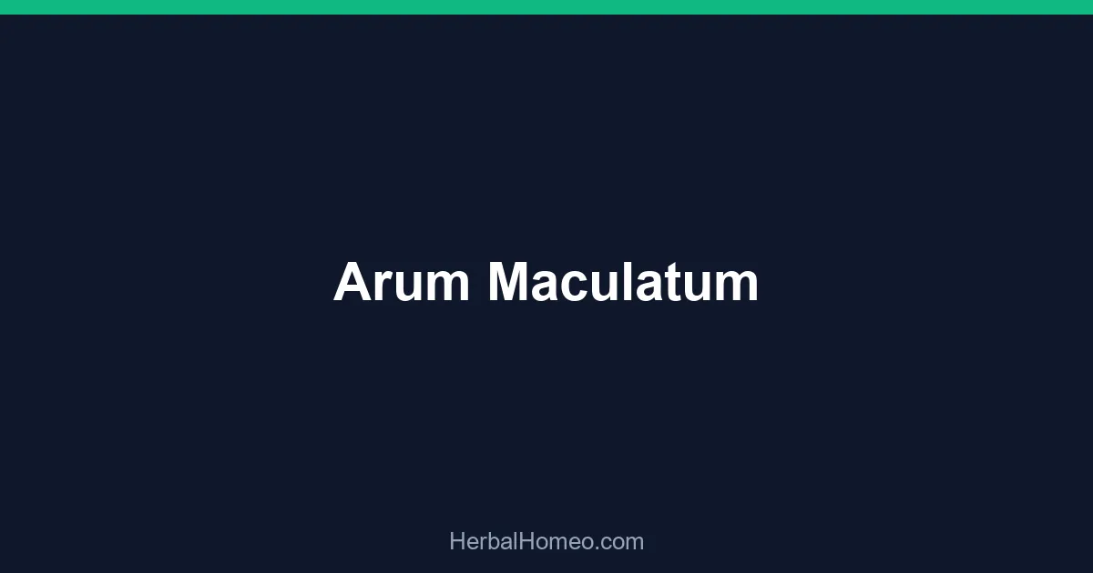 Arum Maculatum