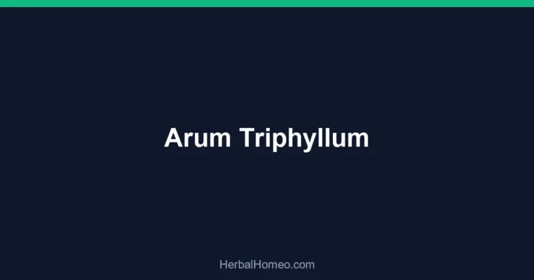 Arum Triphyllum