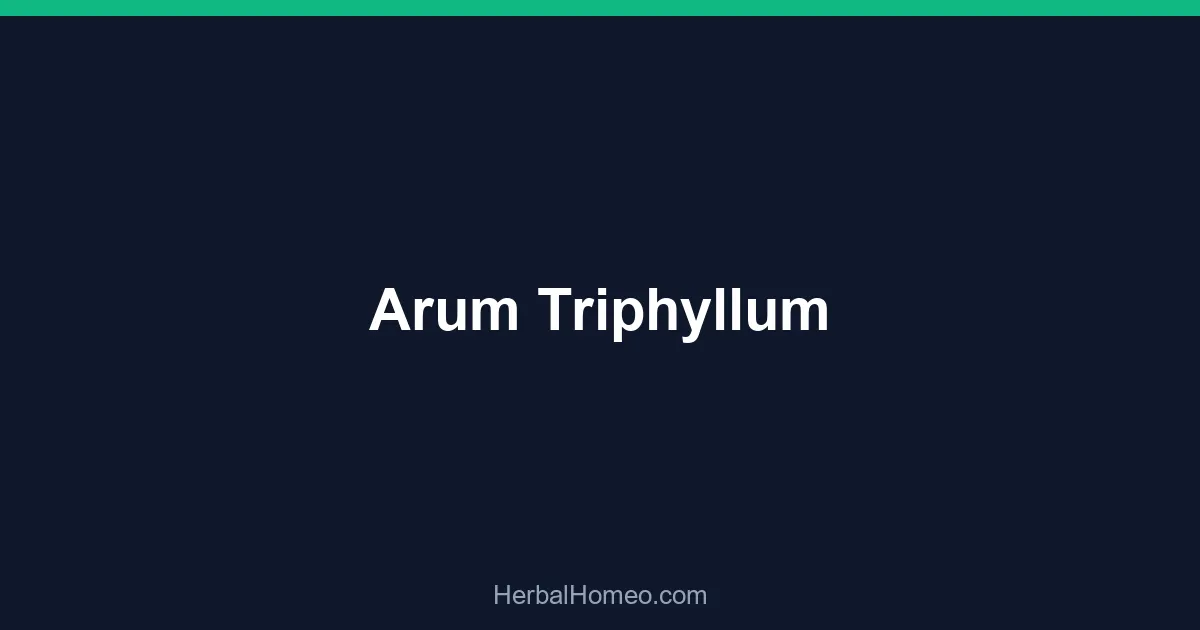 Arum Triphyllum