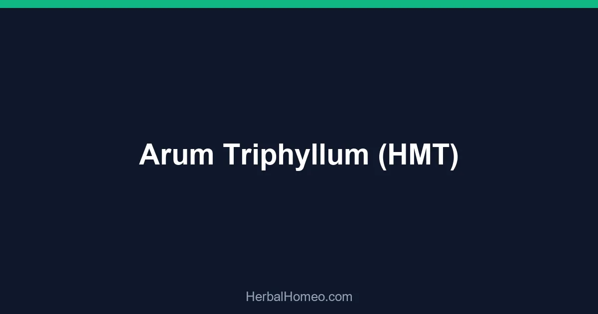 Arum Triphyllum (HMT)