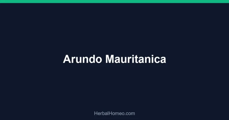 Arundo Mauritanica