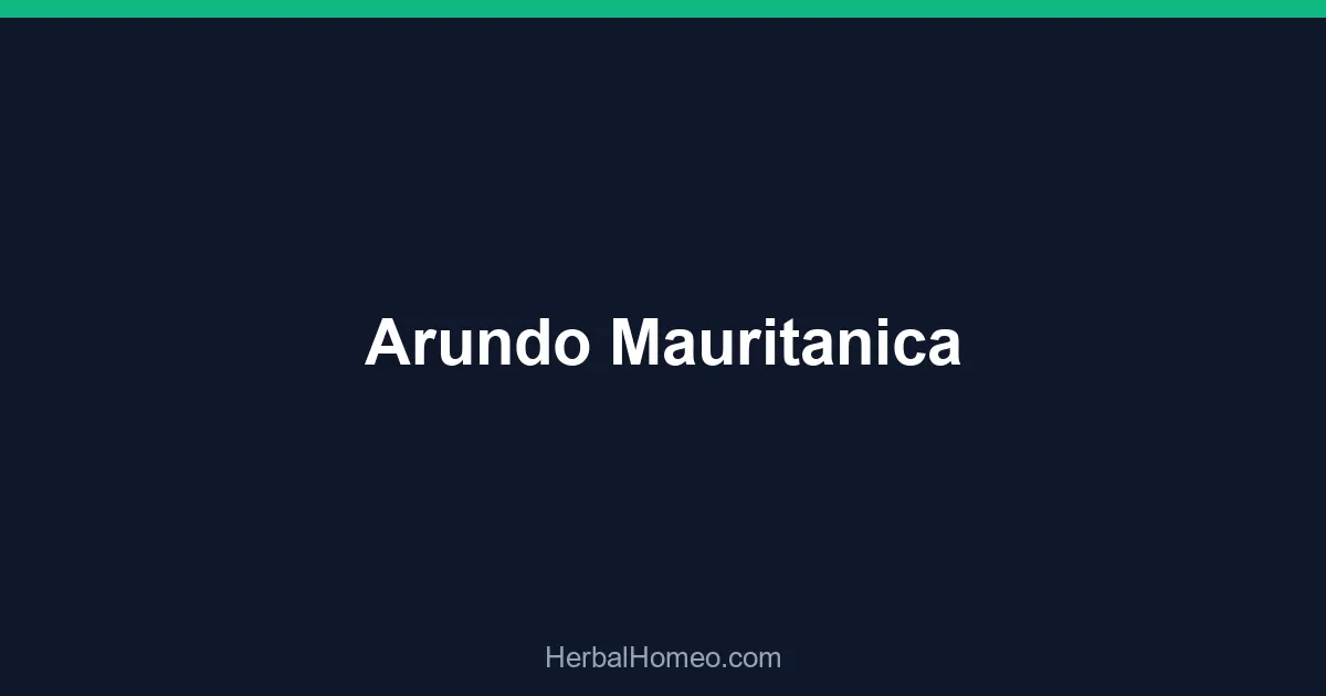 Arundo Mauritanica