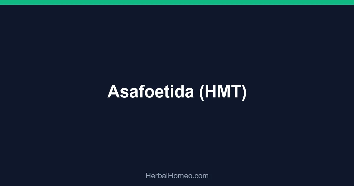 Asafoetida (HMT)
