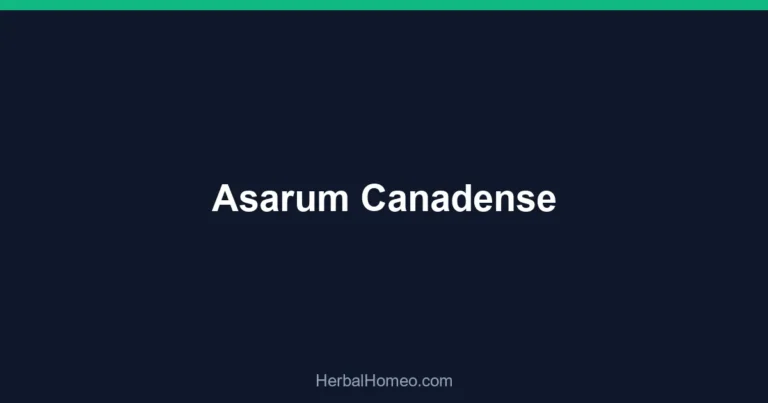 Asarum Canadense