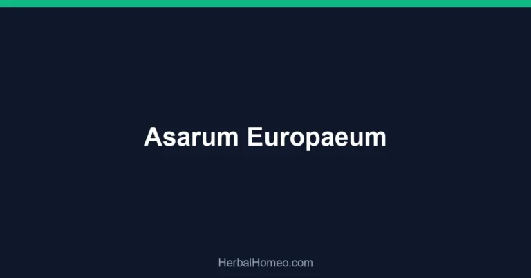 Asarum Europaeum