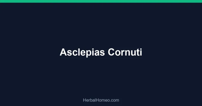 Asclepias Cornuti