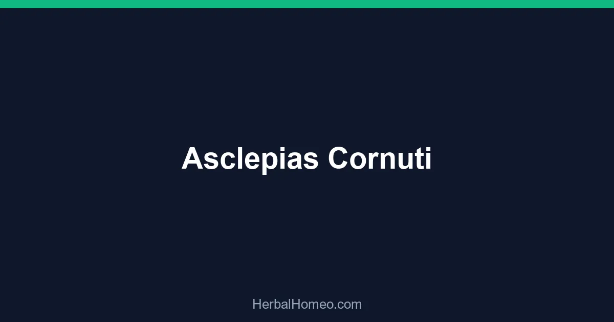Asclepias Cornuti