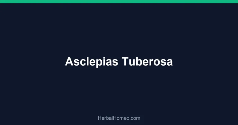 Asclepias Tuberosa