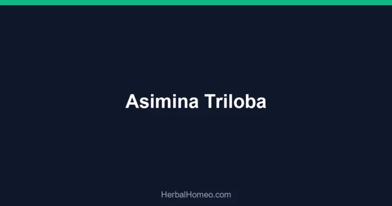 Asimina Triloba