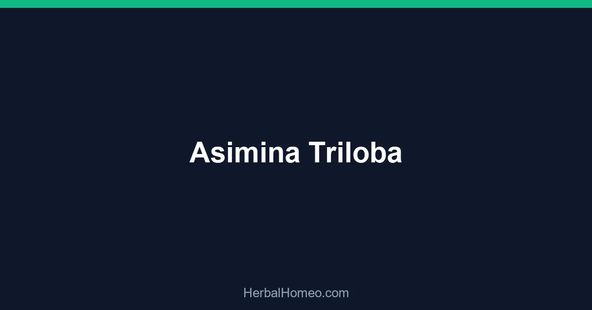 Asimina Triloba
