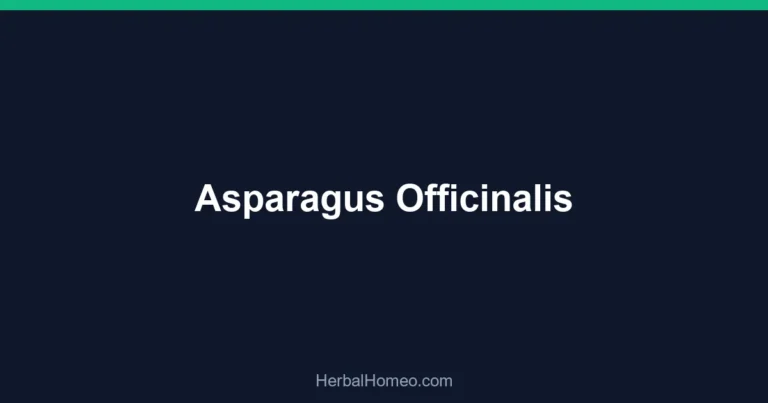 Asparagus Officinalis