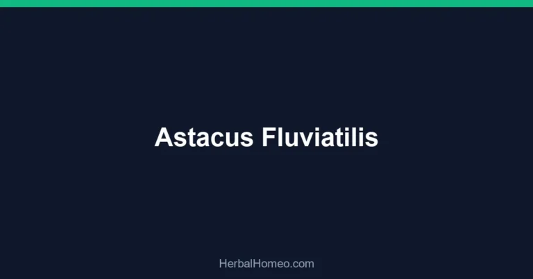 Astacus Fluviatilis