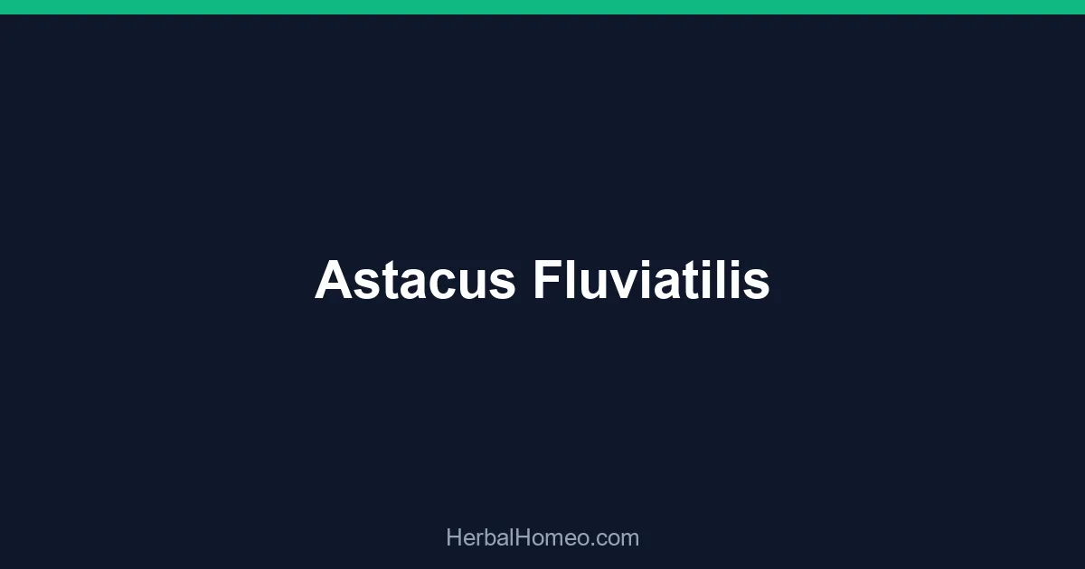 Astacus Fluviatilis