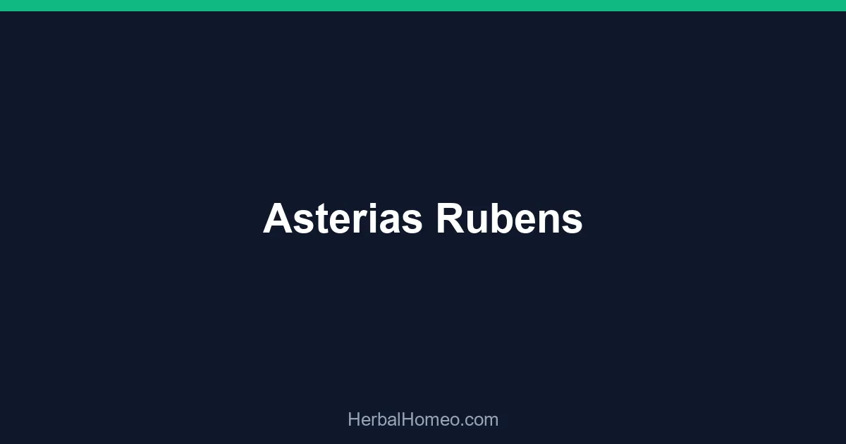 Asterias Rubens