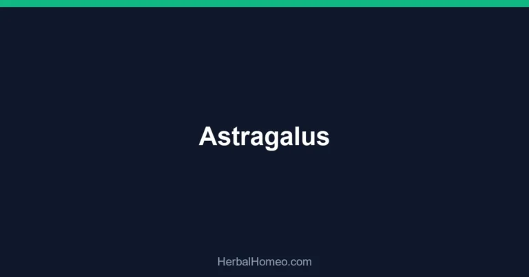 Astragalus