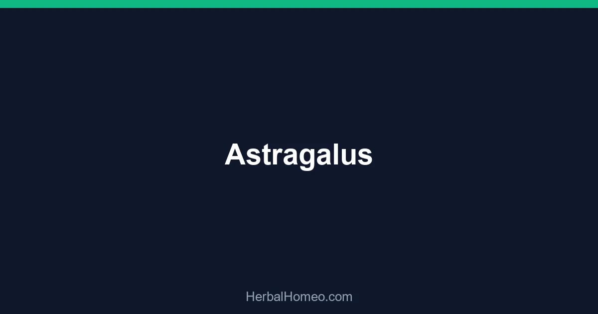 Astragalus