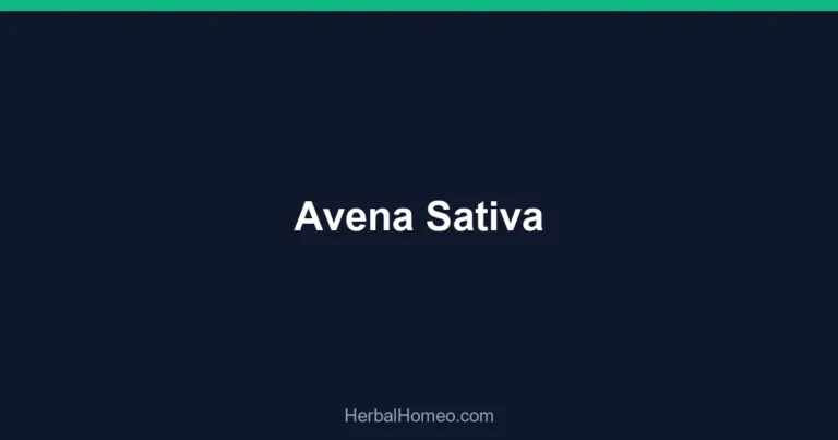Avena Sativa
