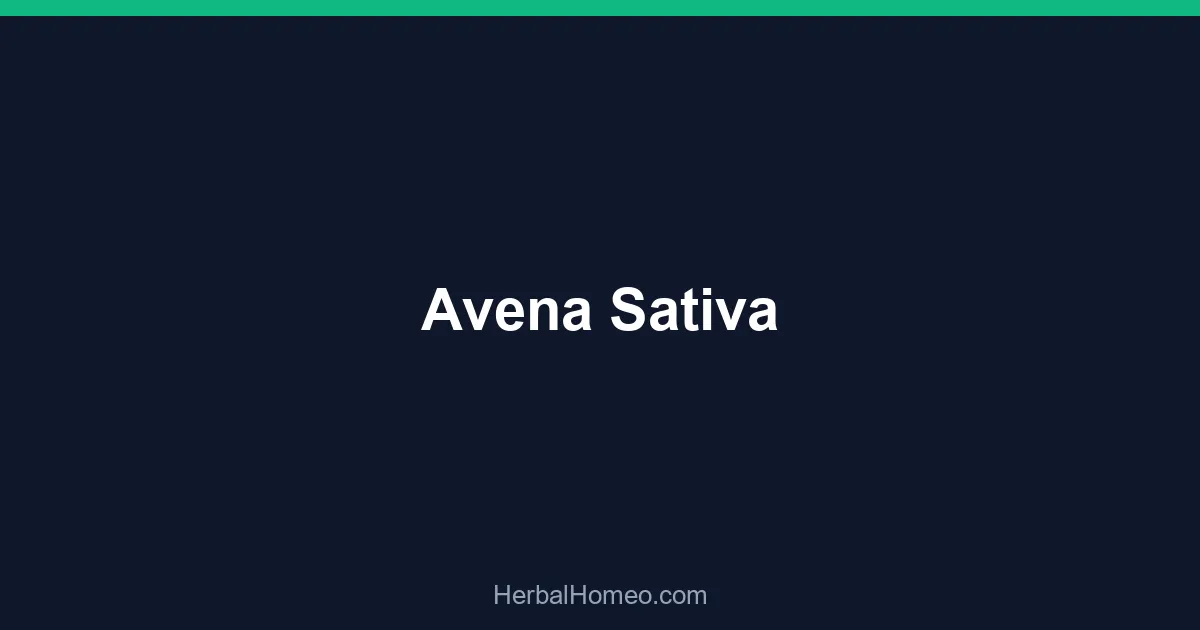 Avena Sativa